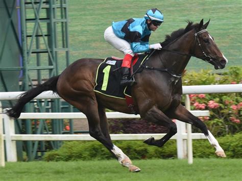 singapore race horse result|Trainer Lim stays in full Command to the very end, Latest Racing .